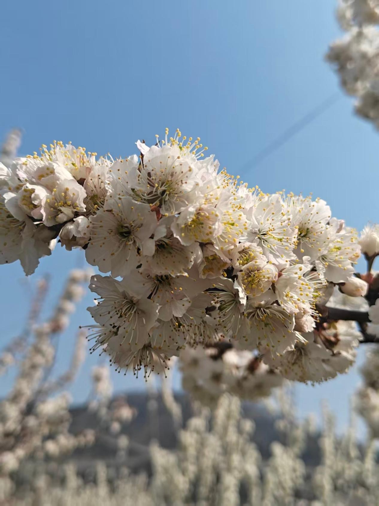 2e53134edc54f7c036f338fd81eb90f