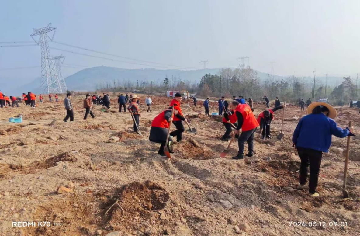 c642f02a06e295e6c3814a618ee2d97b