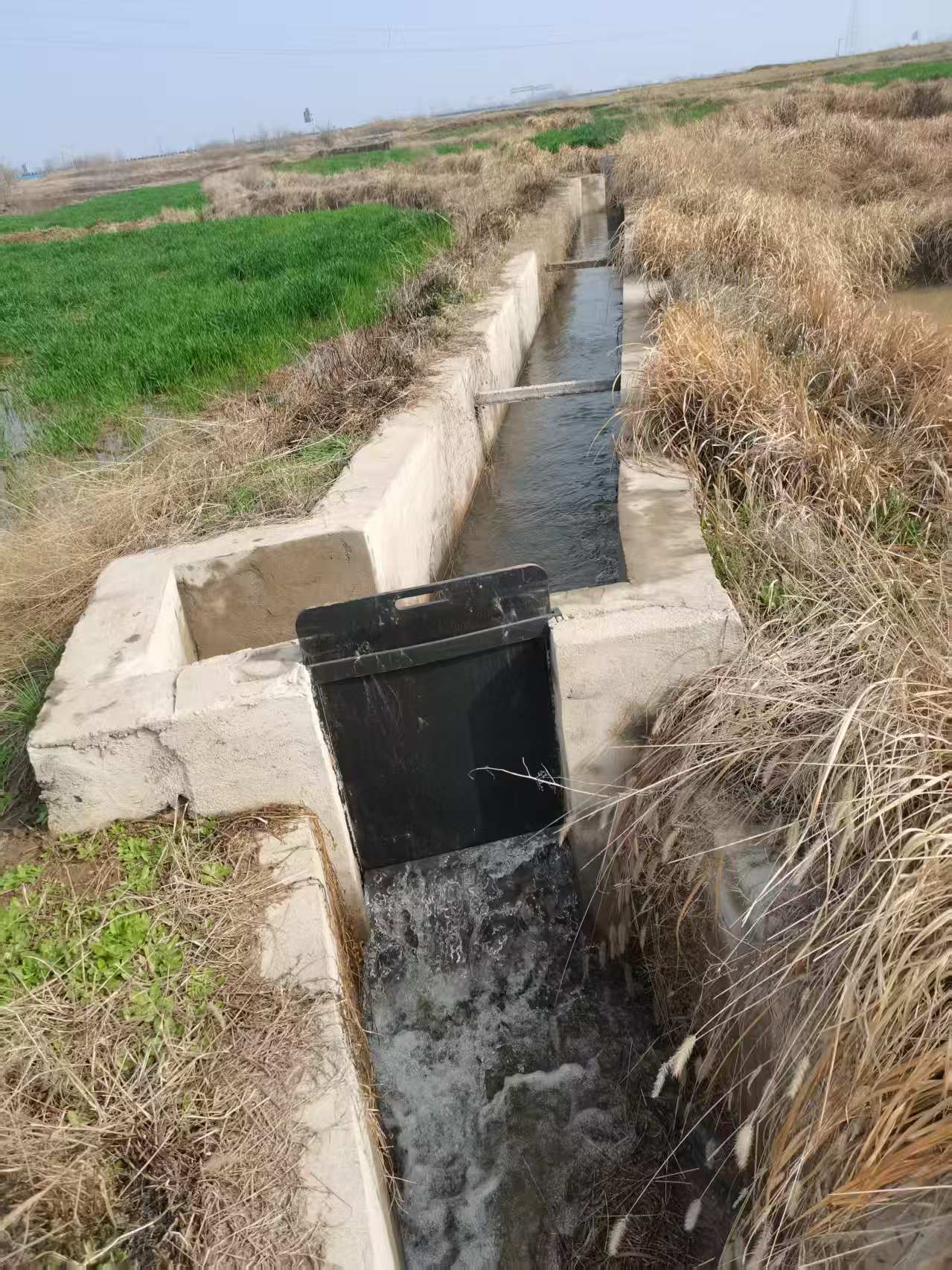 2a4a3e1481a60cab6eb78821cb55a043