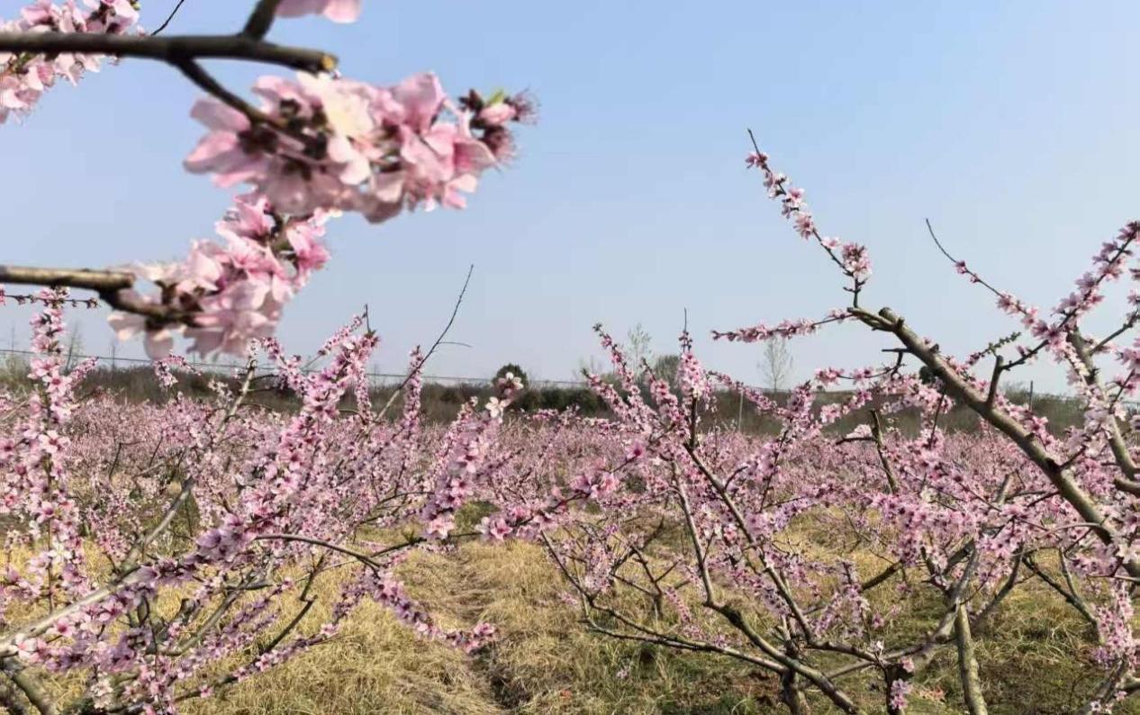 15341a0ff761d0faa4d4c32b6ed9405