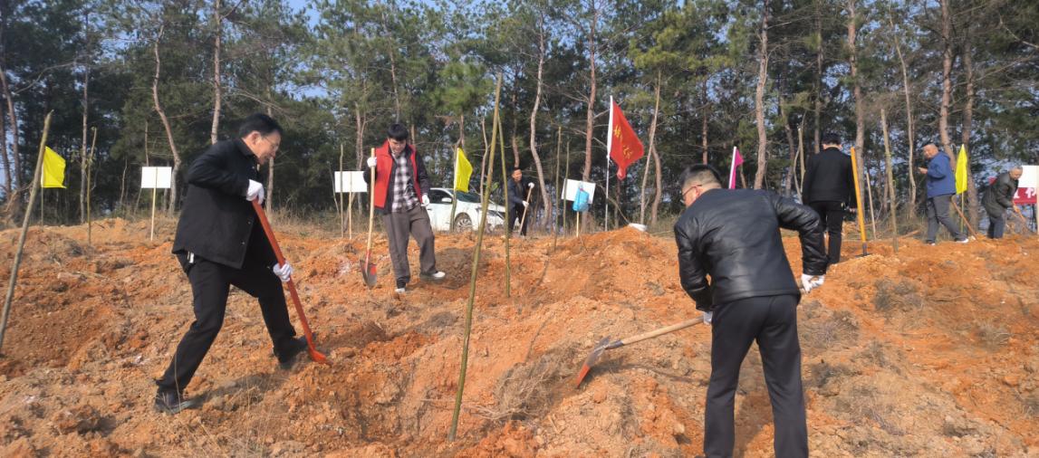 微信图片_20260310091316_2936_30