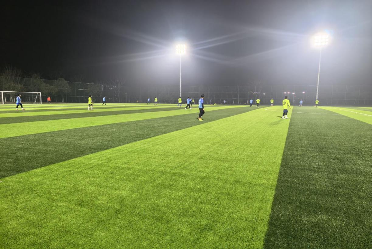 53f236bab0bcd536d53ad611071ea077