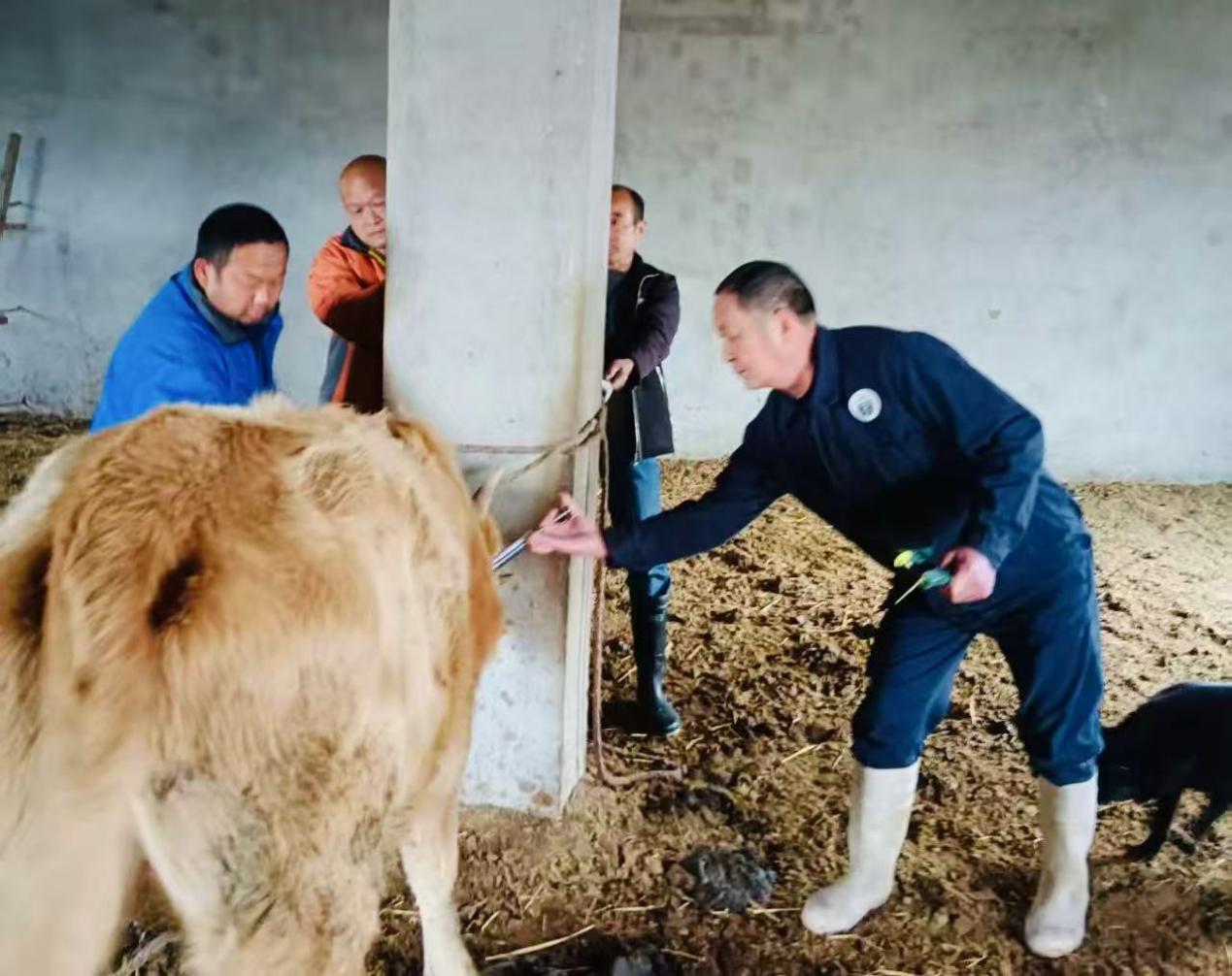 5b3de8dbe5d47b55a9fe0dc6245d0b5