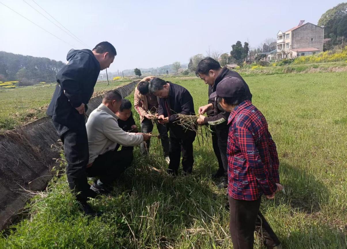 732c7a9ad7ccf27907b50d5648598e84