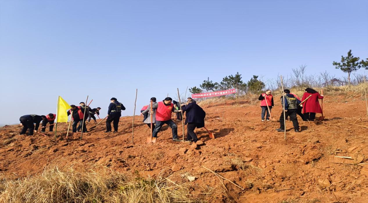 e724754eb3c4f4561e64f0e5b94497b6