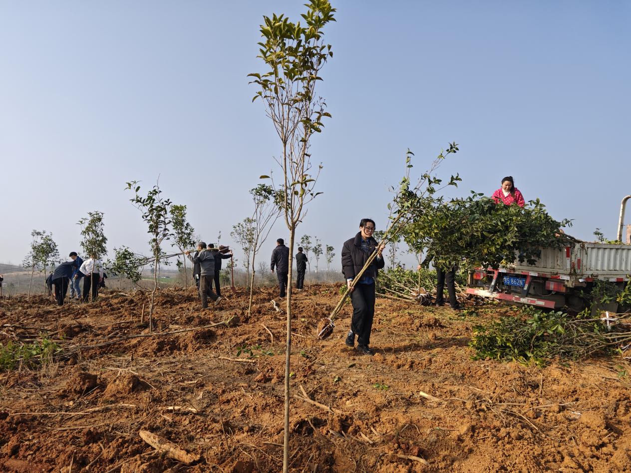 28507728a4b2841803f1947b1fd8101