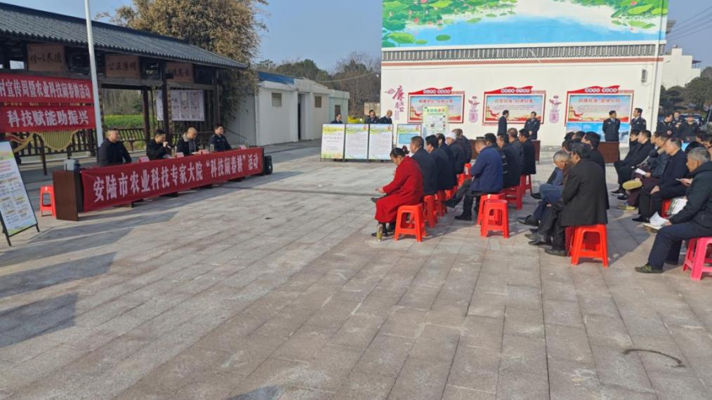 31f81fdfdd101f1437a4bb1ac3904ec3