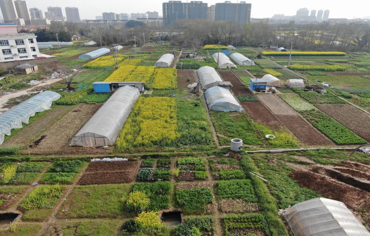 8c2a96af967c79808ed2ea9ff11413b3