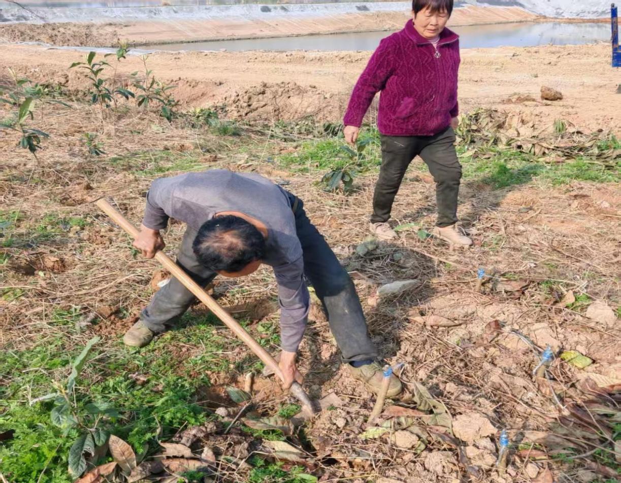 微信图片_20260316160602_1307_2