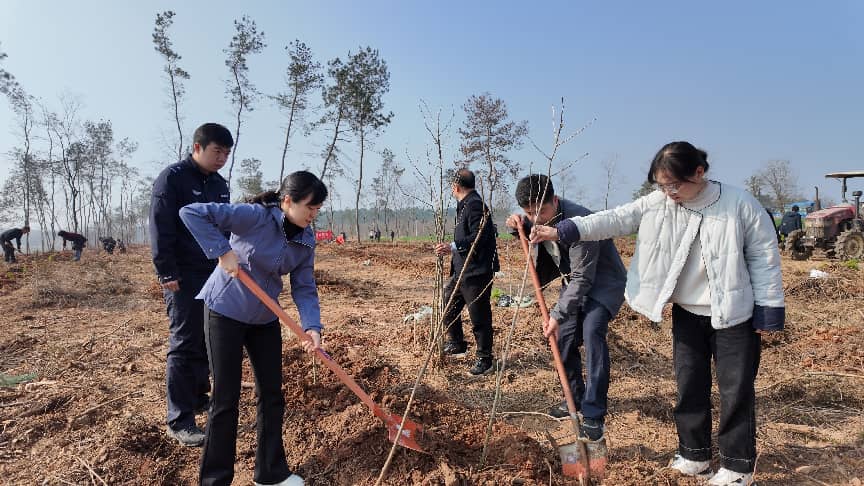 b14e7d545ce79c0c3e51942277e7b3cb