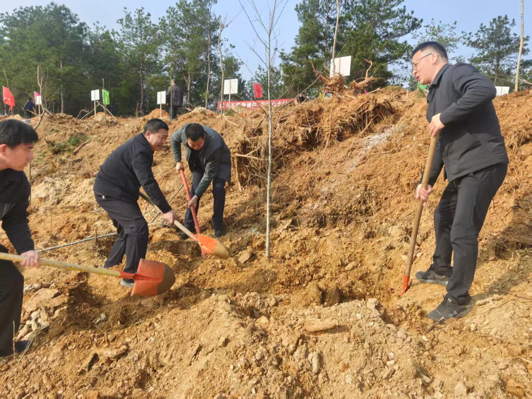 71e3c8f1281d804ff1090018448b8a5