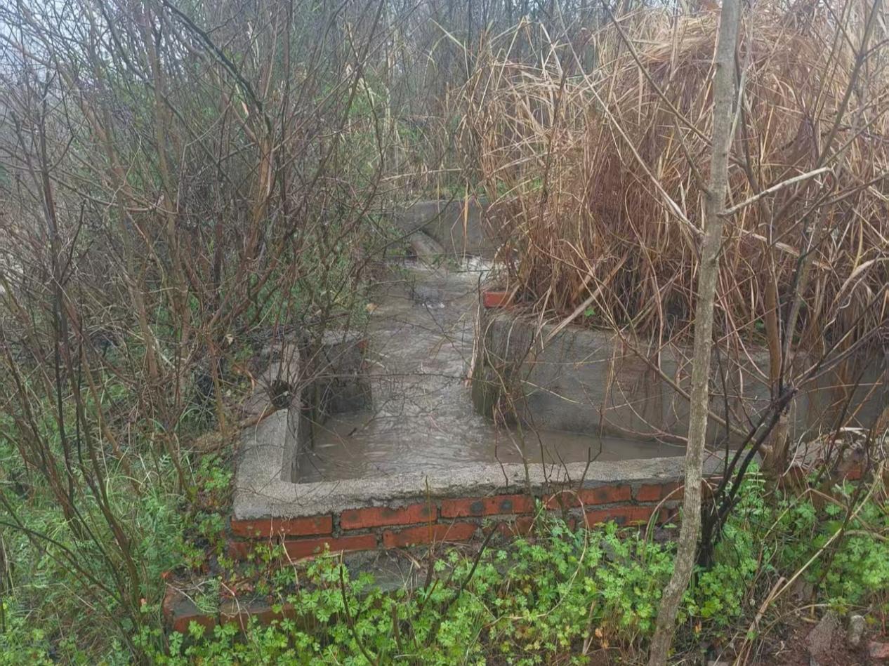 a5e29f61bae3ead6519046c3f90d107