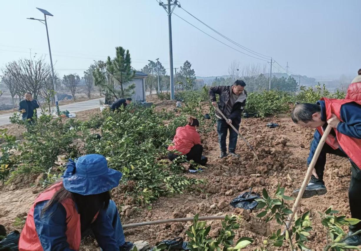 987d81167aa5dd994405fb6996b8aac3