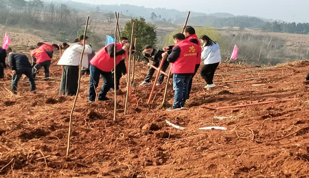 d1dc135c636452dafe10c1928103c2c6