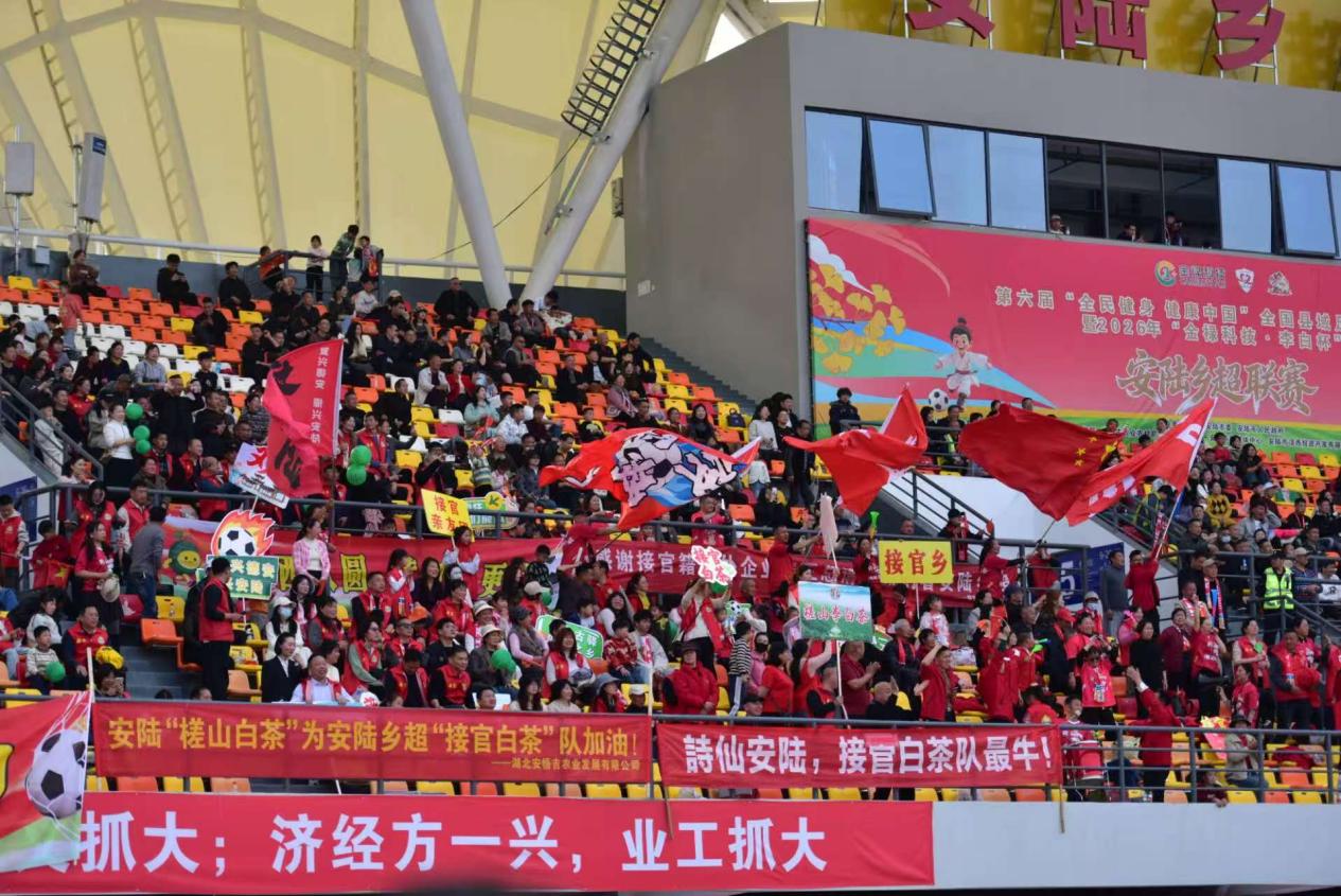 86ea5d0dda76ea4f84f20f7bed2d364a