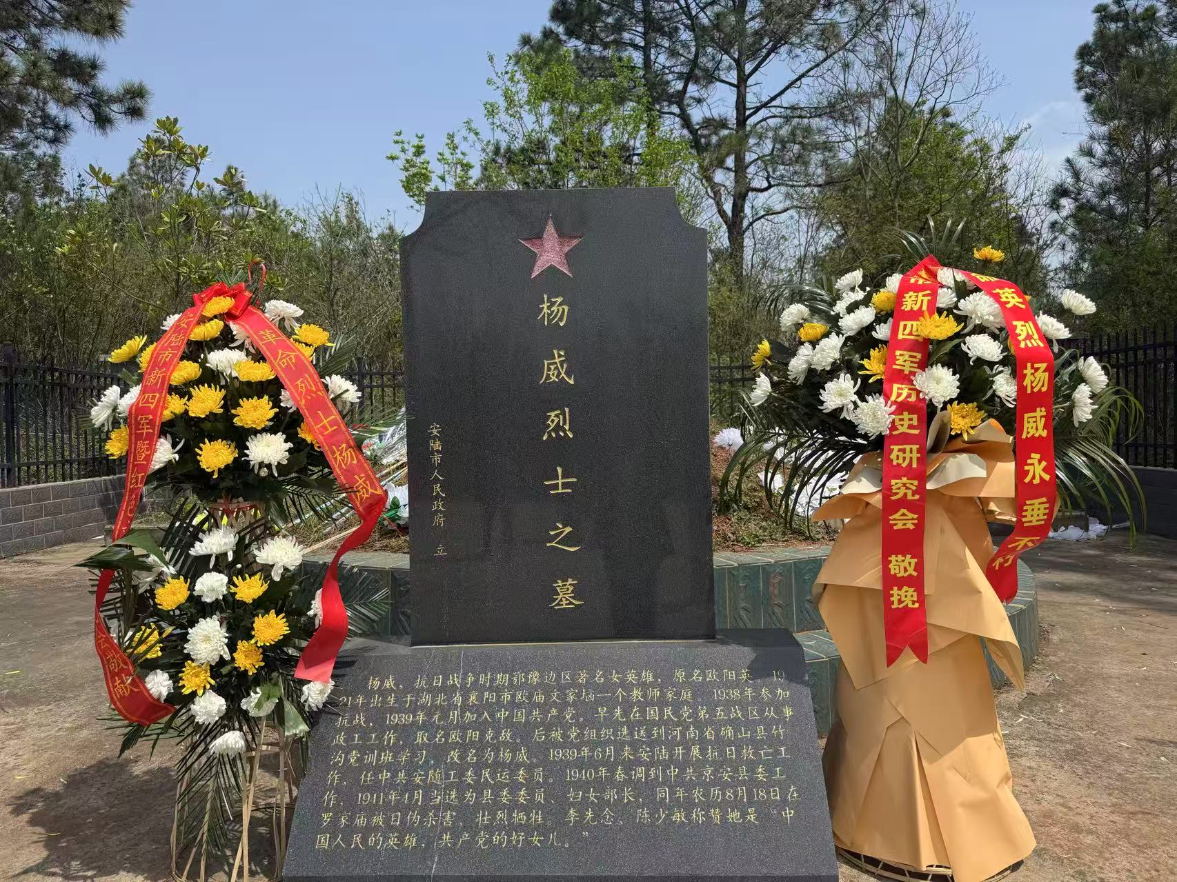 cc011253b409382f7af8701aa3eabef2