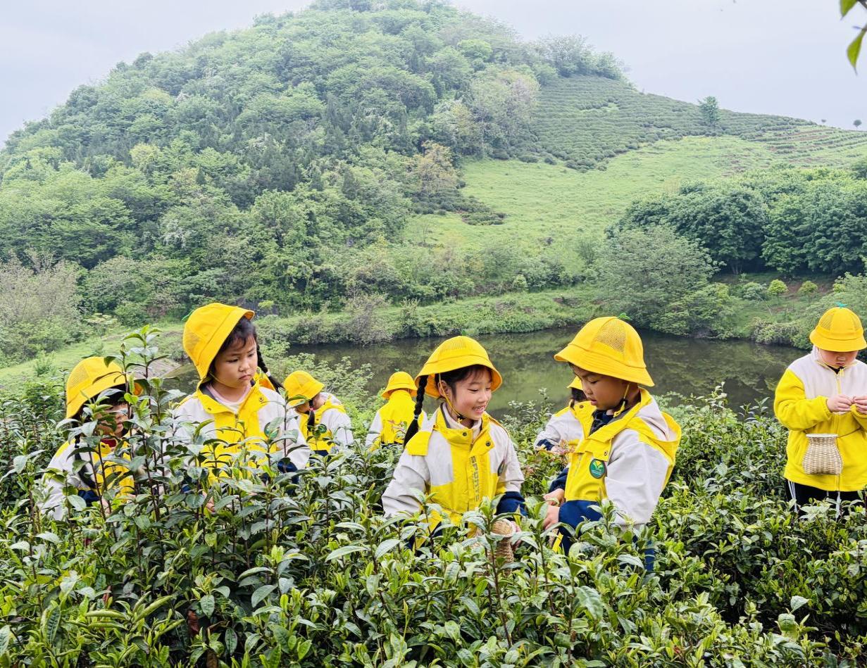 3b596c29aa1198233a5e711b0a01b569