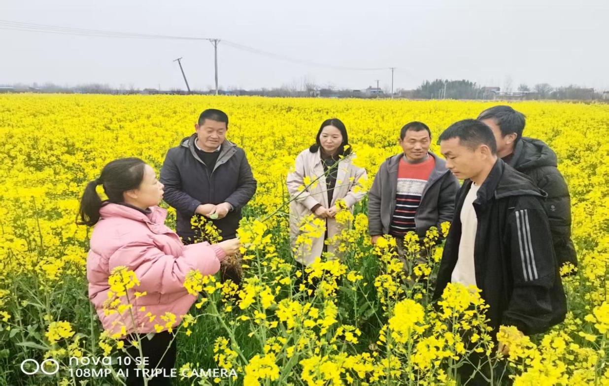 a5d910d71cc61c52b7e26cf89f306862