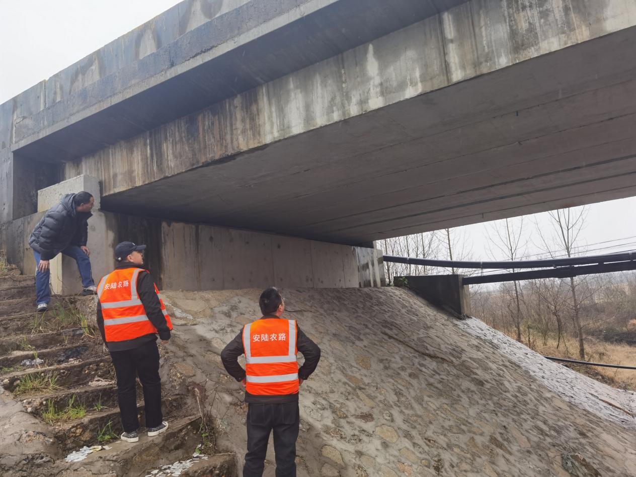 微信图片_20260407154455_193_300