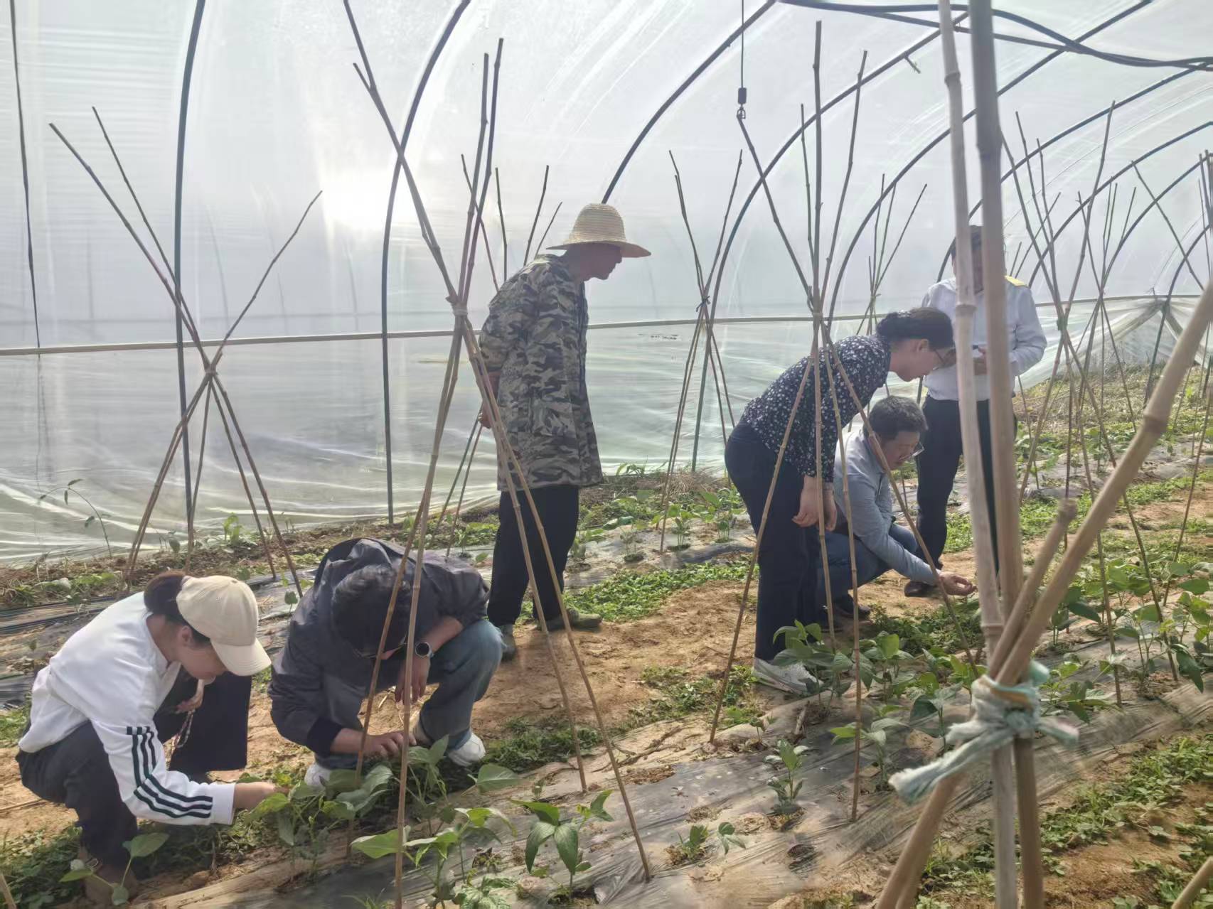 7523a85f9f530ad9013938b377232ba