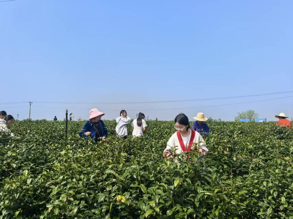 42c7817eb2a6175d84aff61e16a776e5