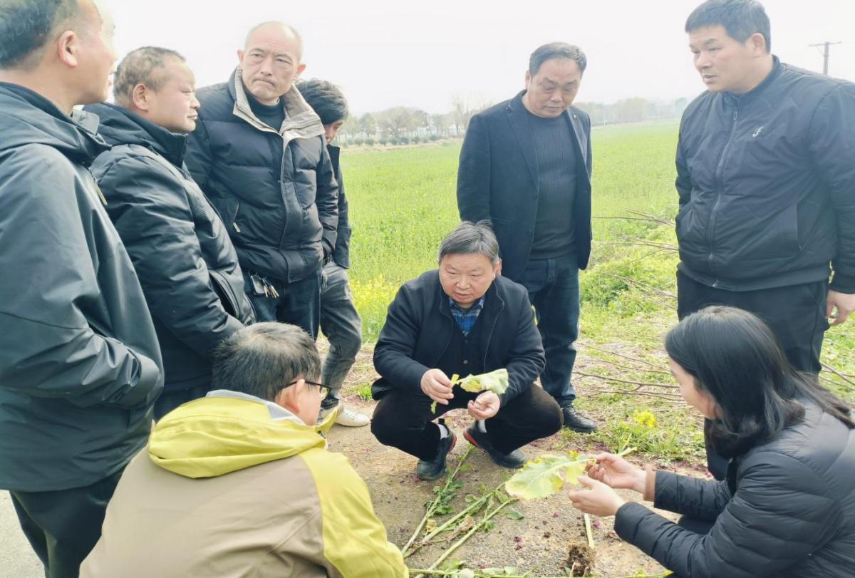 44105902b56cabdfd1588f7a4f64592c