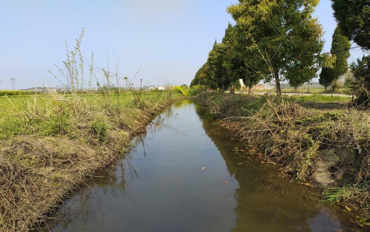 03056fdc1c6527cdffb9275681caec7a