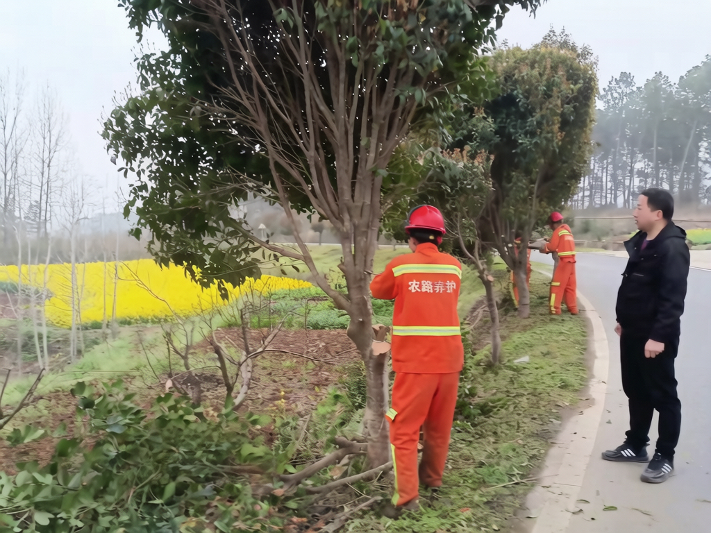 微信图片_20260408104928_207_300