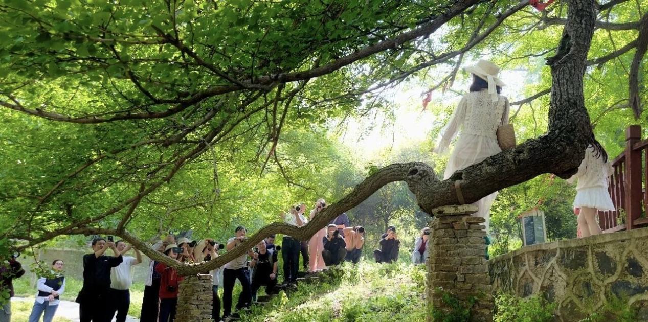 0f2d0d0693bbc19dabfb932255e34bc