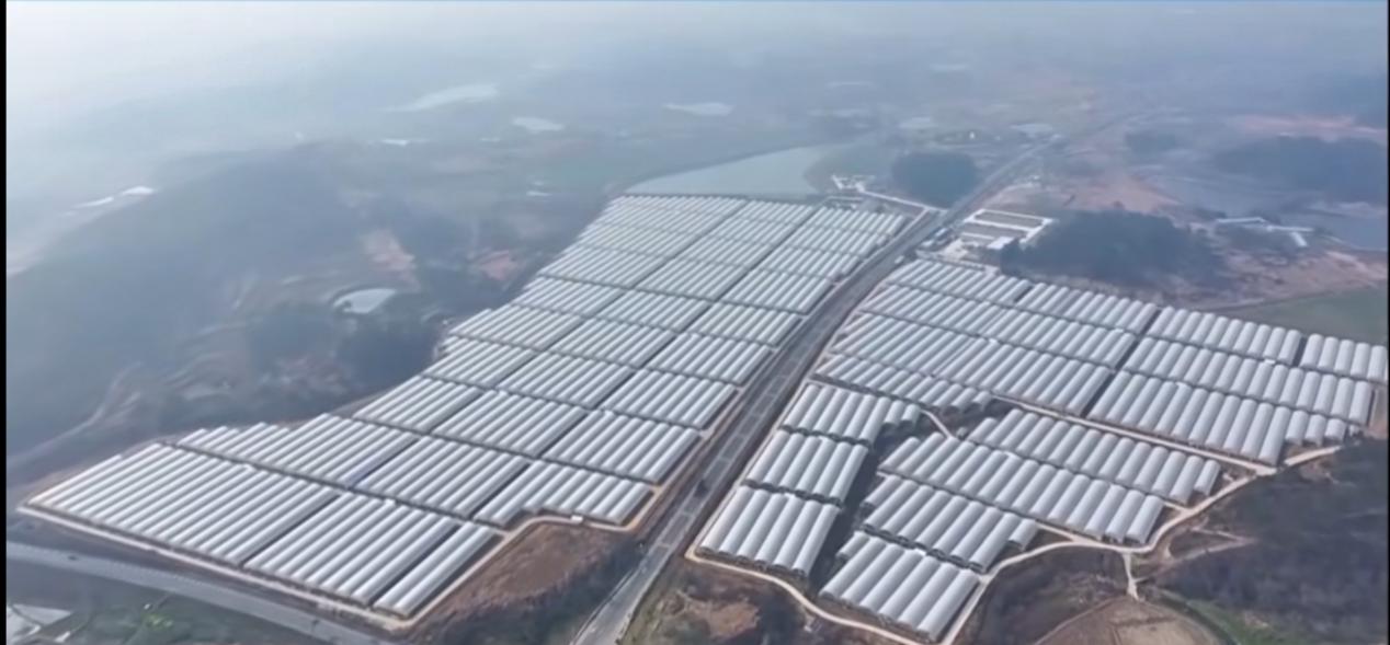 45b5ef9bd54d8e21b5394d3457fd056f