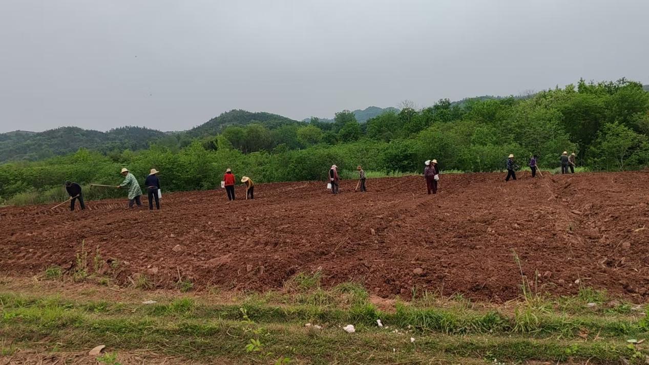 f194cbca81e0d6138c6029e720d2c02f