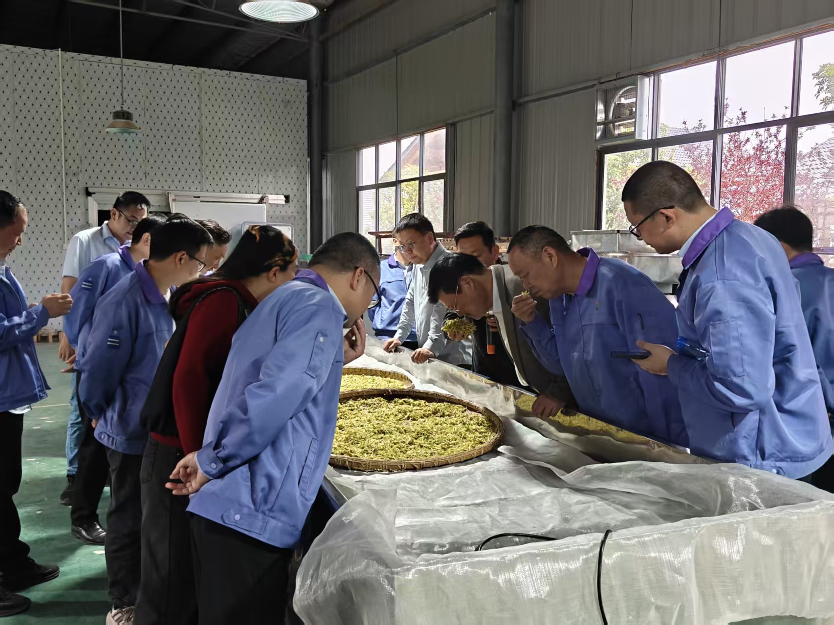 79e5c9a1063463d80b3fd4a50e4435ff