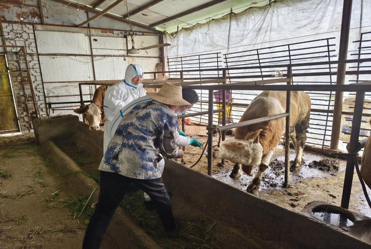 0970b644f7bae3e3a7926ae43e32dfc4