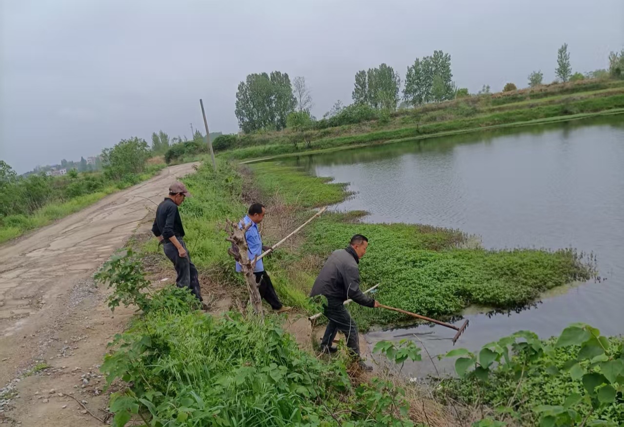 89e85f700ee1da5f693a886769dc6478