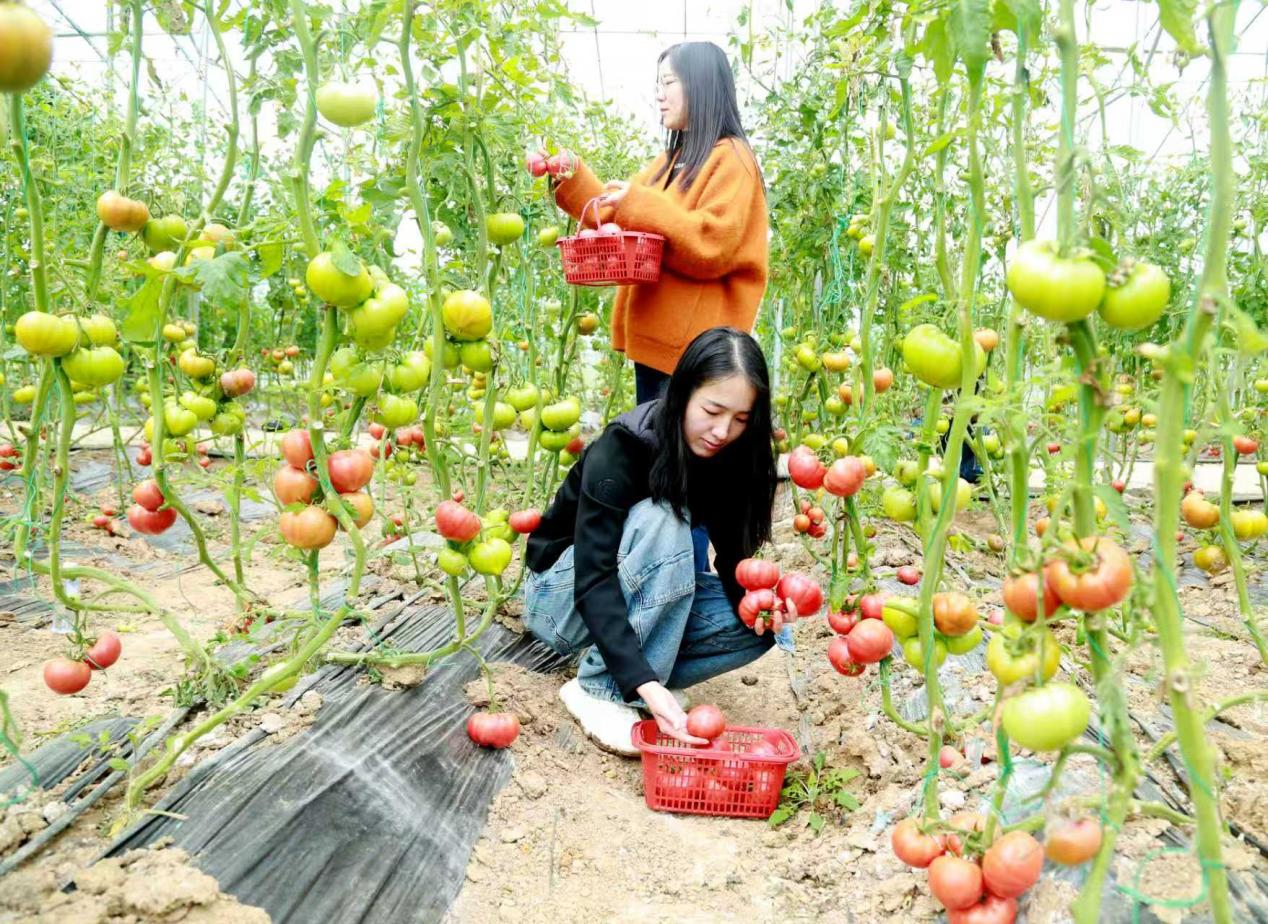 2fcbf1d27850c09ad937578658876f7f