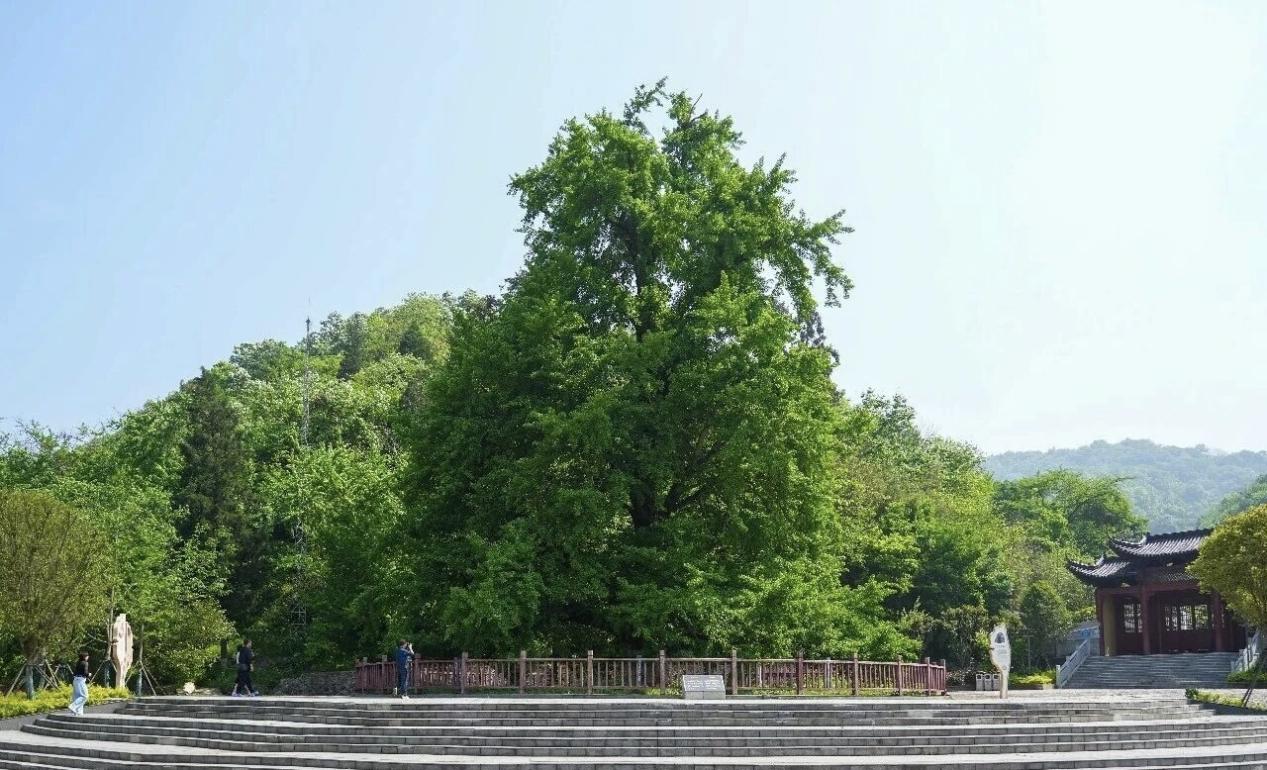 71523c32c528de8551e640af917c7e8