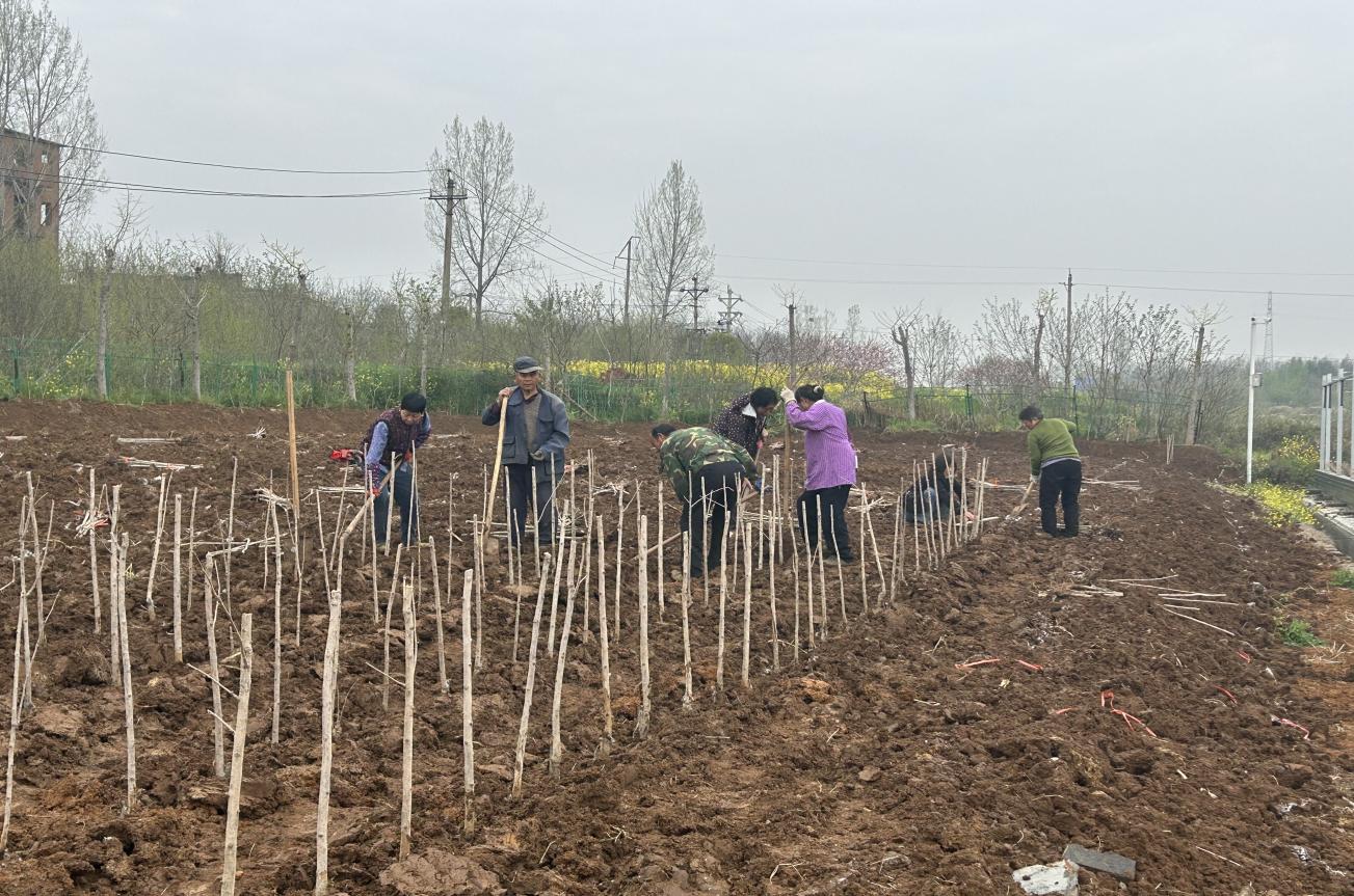 55240cf70fc6f1e7b29142dea2c9c781