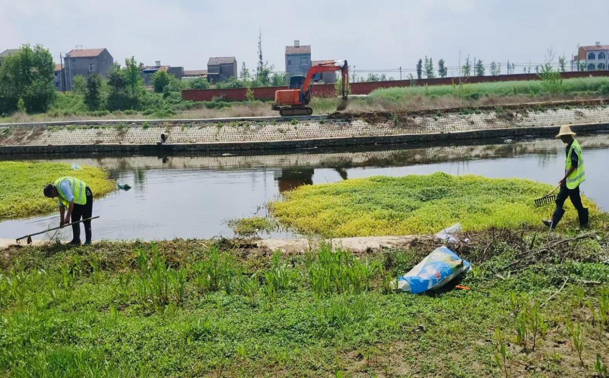 c12a6123c6d1bf997cccc0126e3b95f