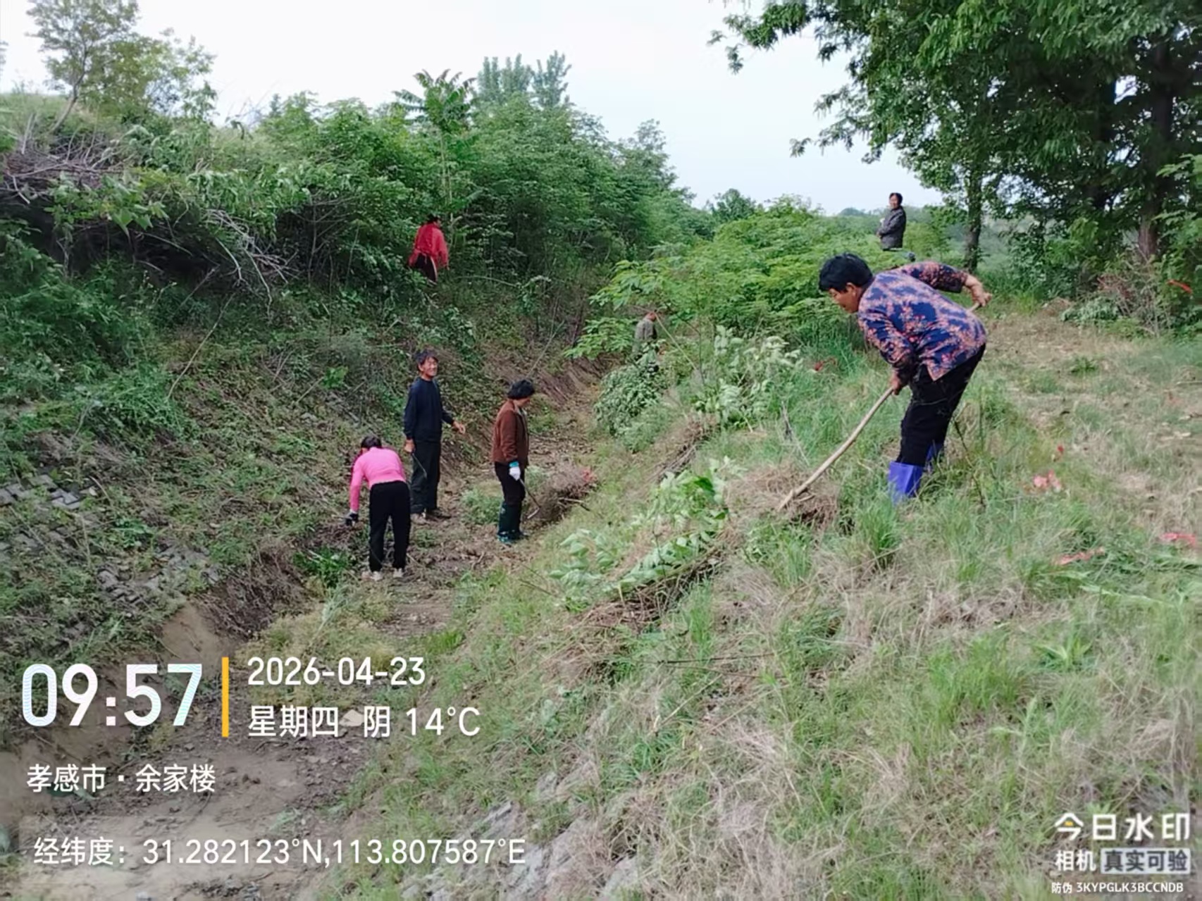 32e3f7d2c6c0157f0ca44c4a68d6b1bc