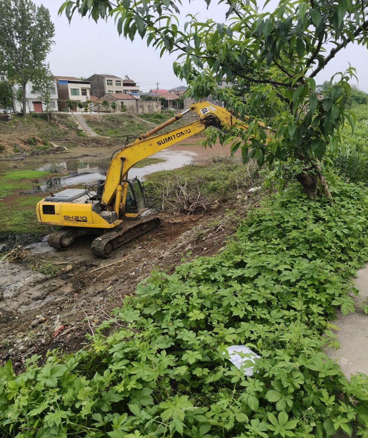 ed8725487ecfc4e4d9fedcdddc4e5f21