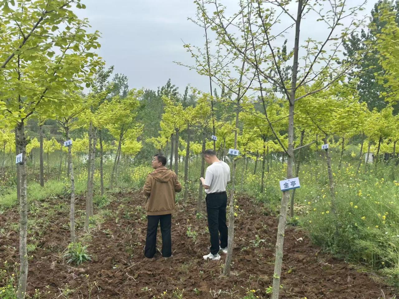 3c197a0b893d645d2692cee371c9ae83