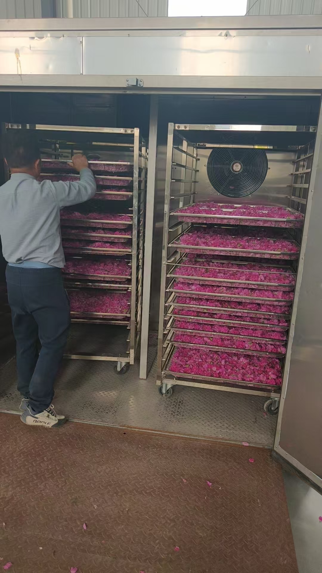 fff42aba3f964656e696f7cb477e7b4