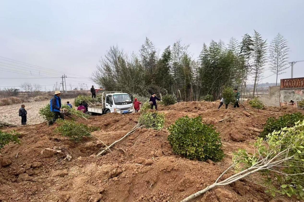 1aecfd6b6fb7c68e939d97aab445e2c8