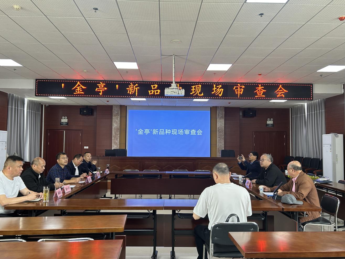 f055062f22e3ac8e9ba23e3ce33867ae