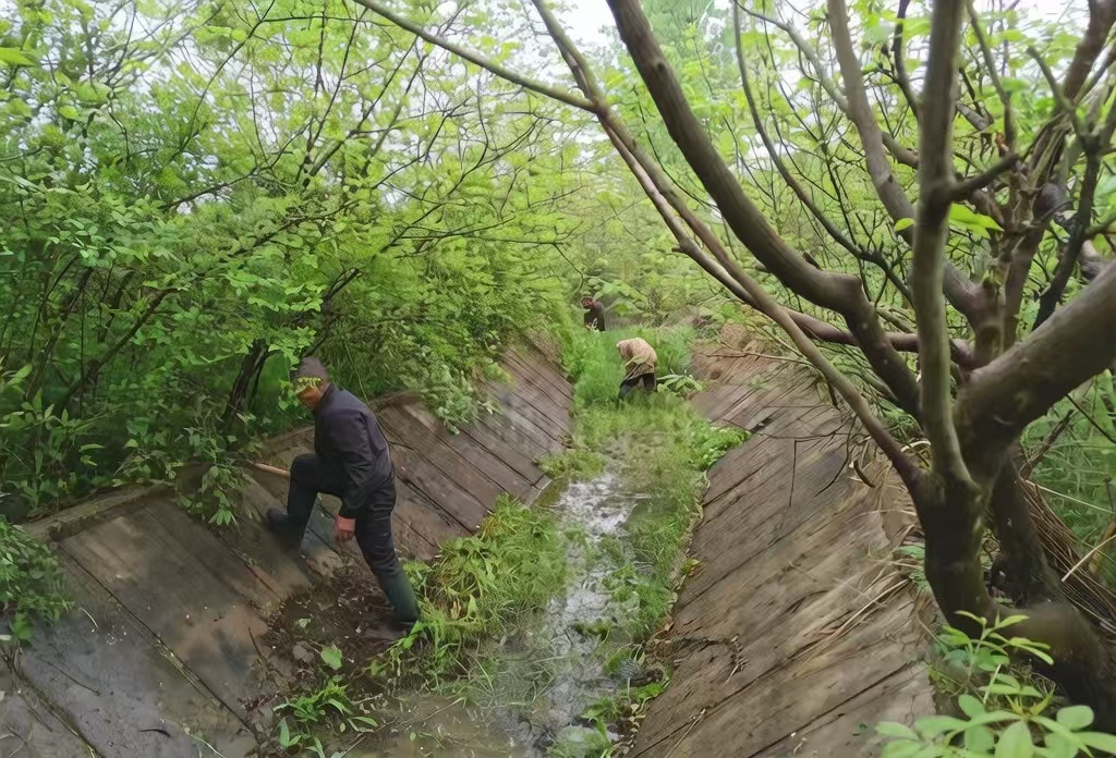 微信图片_20260414195320_261_78