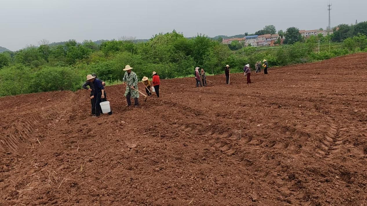 297ba0bb4dd3de03c3b056b784c97cae