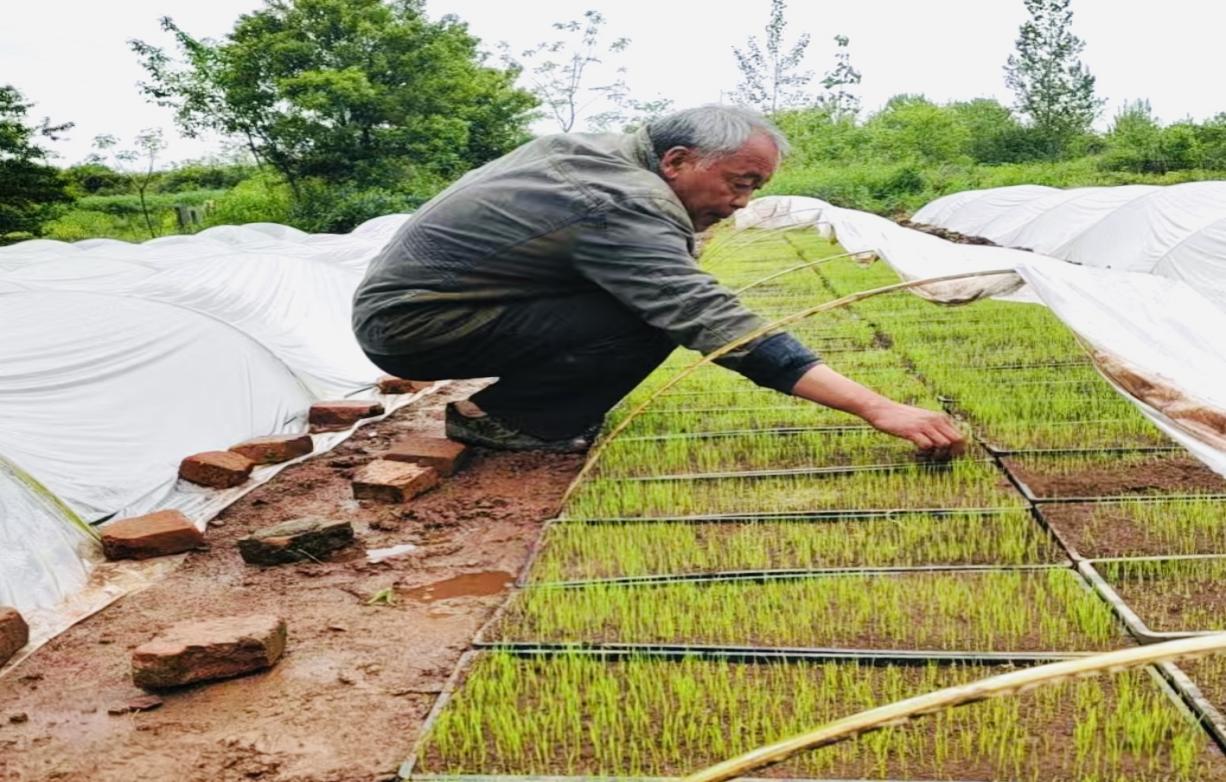 5535dbb69173dcbebc78f51fb6b0bc6