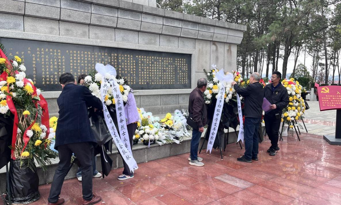 7358b4b56160d97fe1e613eaeaf6ecca