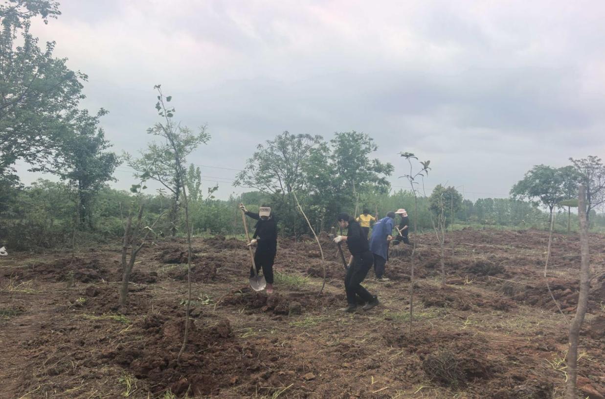 63f2eff139b426f13959a339c78a747f