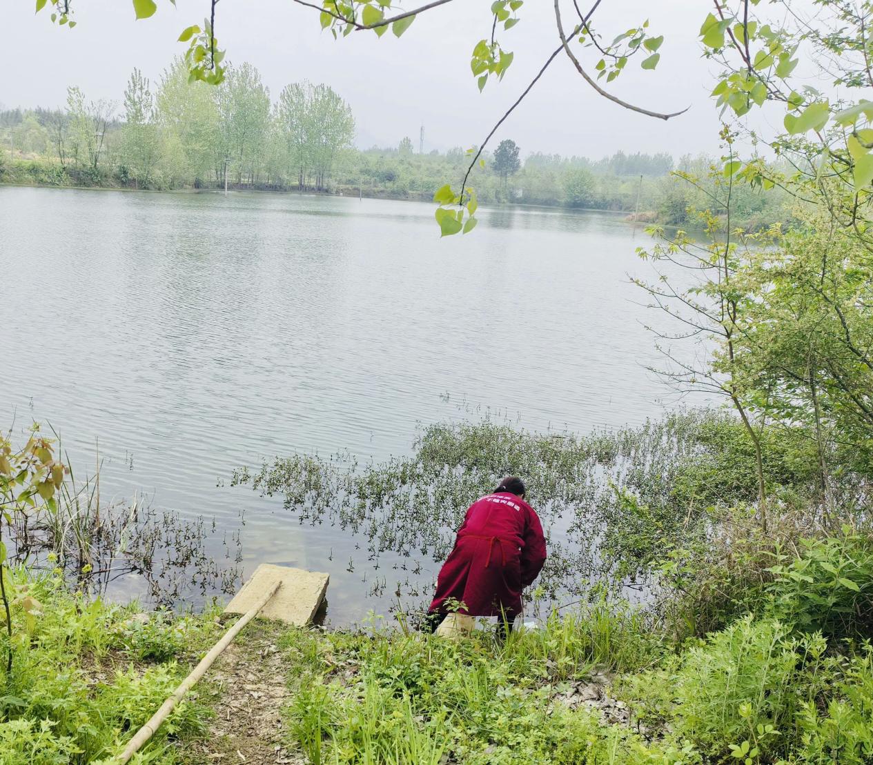 d64debd0094e8c16abbe6fbd06997f0